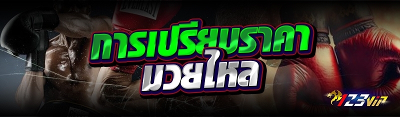 การเปรียบราคามวยไหล 