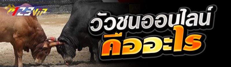 วัวชนออนไลน์ คืออะไร 